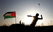 Un palestino muere en Gaza por disparos del ej&eacute;rcito de ocupaci&oacute;n israel&iacute;