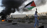 Cuba condena la &ldquo;criminal agresi&oacute;n&rdquo; israel&iacute; contra la poblaci&oacute;n palestina