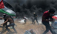 Estados Unidos defiende la masacre israel&iacute; en Gaza