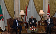 Egipto, T&uacute;nez y Argelia, cooperaci&oacute;n en la lucha antiterrorista