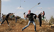 Hezbol&aacute; elogia la resistencia del pueblo palestino