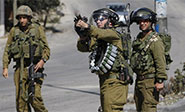 Soldados israel&iacute;es hieren por segunda vez a una activista noruega