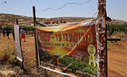 Tribunal israel&iacute; legaliza una colonia jud&iacute;a en una propiedad privada palestina