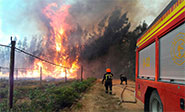 Estado de emergencia en una regi&oacute;n de Alemania por incendios forestales