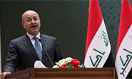 Presidente de Iraq insiste en unir los esfuerzos para poner fin a la crisis en Siria