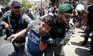 Fuerzas de la ocupaci&oacute;n israel&iacute; matan a tres palestinos y detienen a m&aacute;s de cincuenta