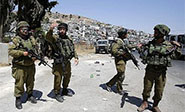 Soldados israel&iacute;es asesinan a un palestino en Cisjordania ocupada