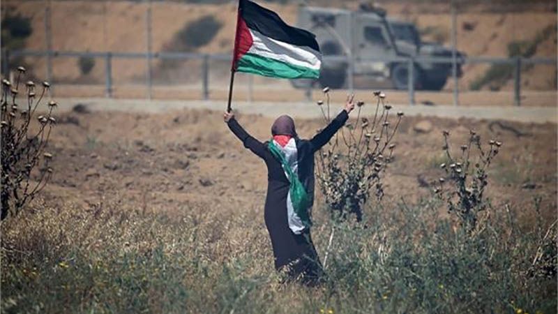 Una unidad secreta israel&iacute; roba y destruye documentos sobre masacres contra los palestinos