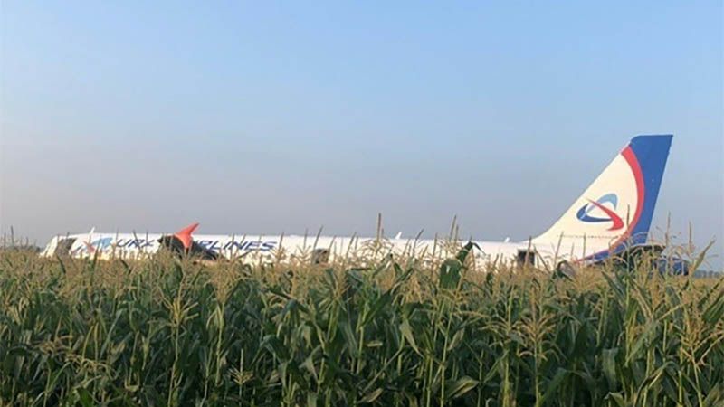 Un avi&oacute;n ruso con m&aacute;s de 200 pasajeros aterriza en un campo de ma&iacute;z