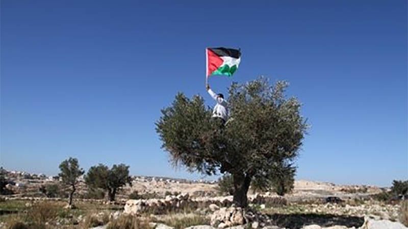 Los palestinos conmemoran el 44 aniversario del D&iacute;a de la Tierra