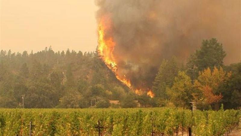 Los incendios forestales en California arrasan m&aacute;s de 50.000 hect&aacute;reas