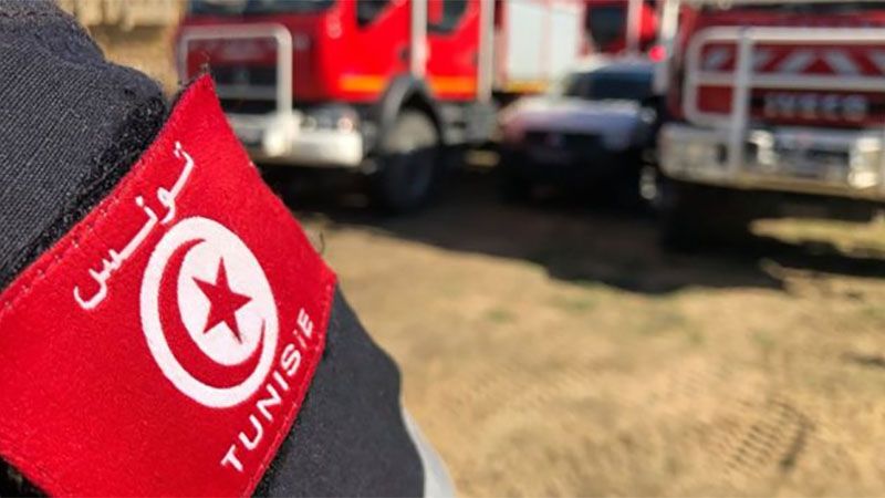 Nueve muertos tras un accidente de un cami&oacute;n que transportaba migrantes en T&uacute;nez