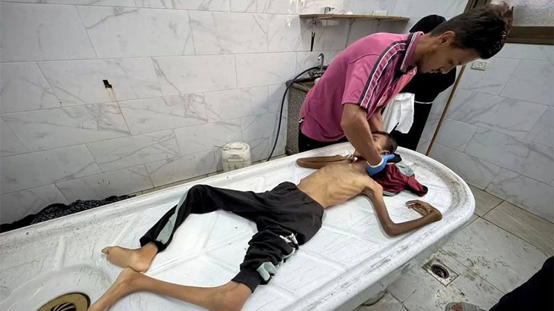 M&aacute;s de 100 ONG advierten de &ldquo;hambruna masiva&rdquo; en Gaza