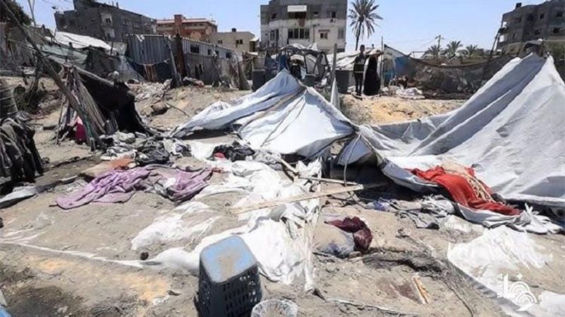 MSF advierte del alto riesgo de propagaci&oacute;n de enfermedades en Gaza pese al alto el fuego