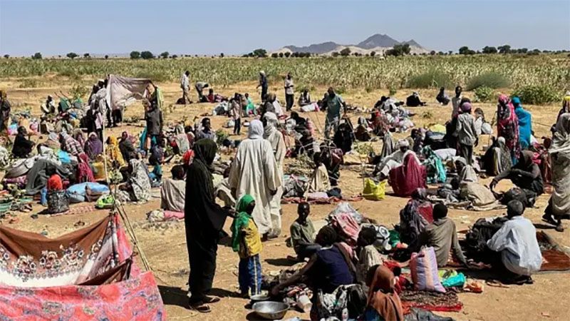 Confirman hambruna en la ciudad sudanesa de El Fasher