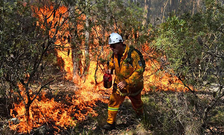 Grandes incendios forestales afectan el sur de Australia 